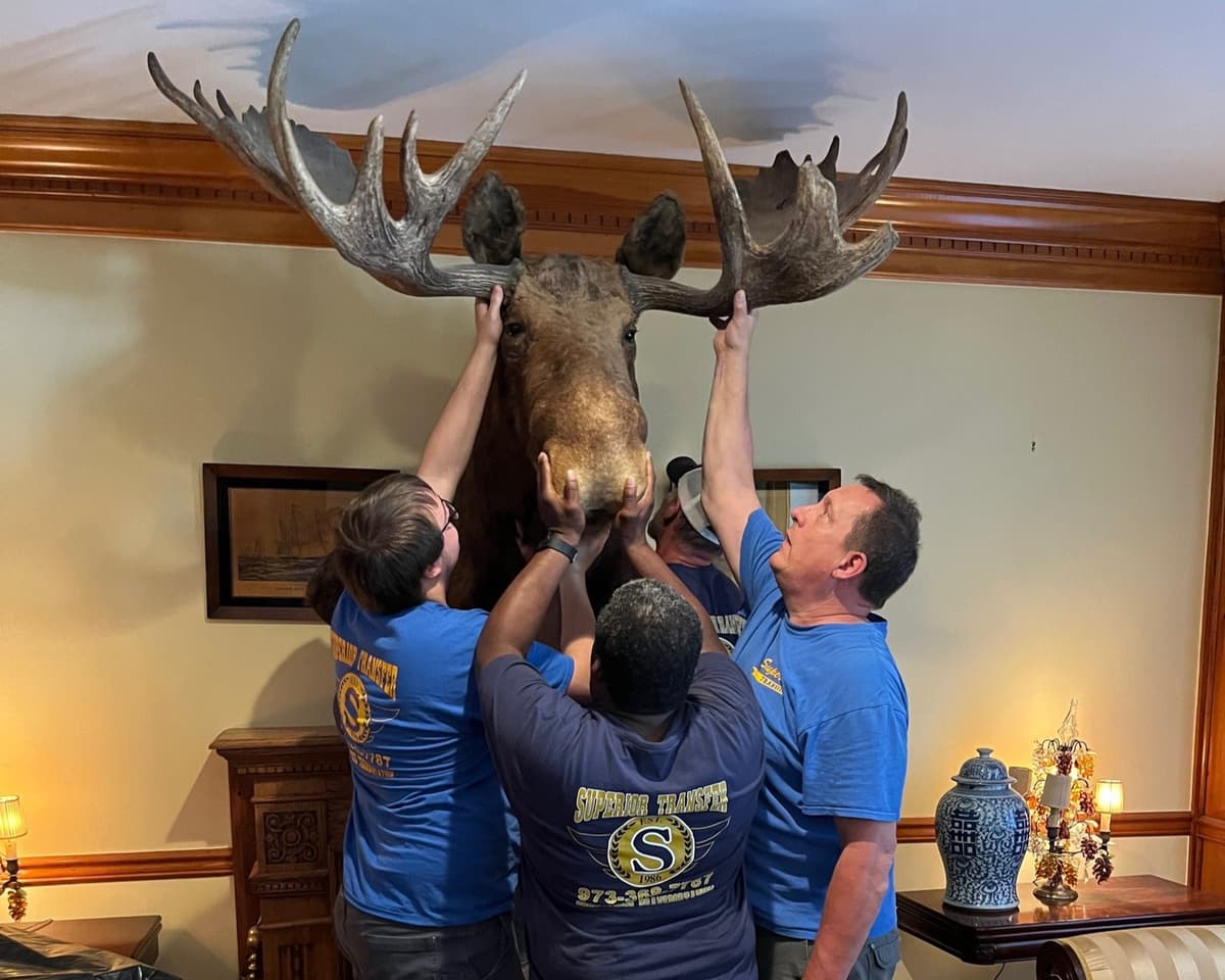 Superior Transfer - Move With Care service from Butler, NJ moving company